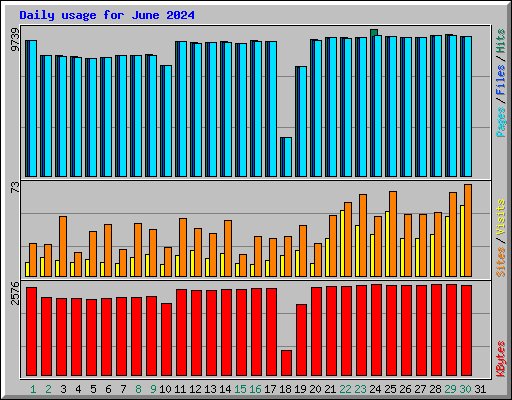 Daily usage for June 2024