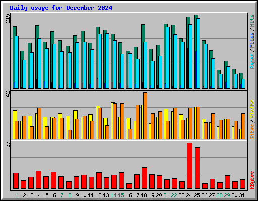Daily usage for December 2024