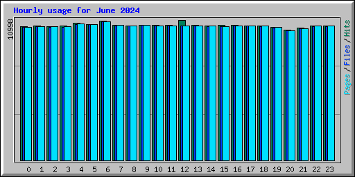 Hourly usage for June 2024