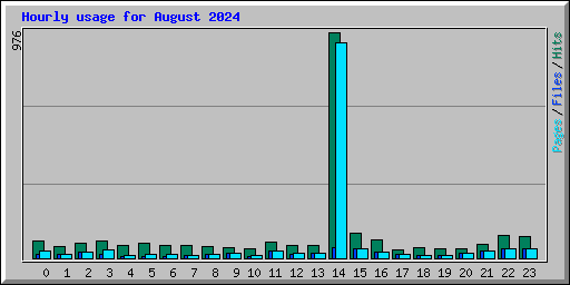 Hourly usage for August 2024