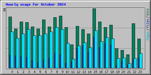 Hourly usage for October 2024