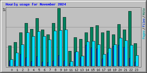 Hourly usage for November 2024