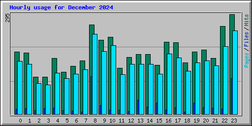 Hourly usage for December 2024