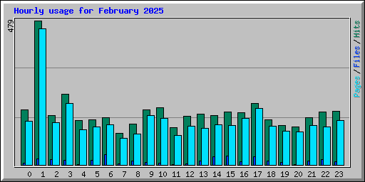 Hourly usage for February 2025