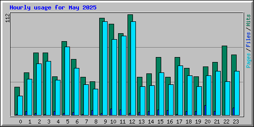 Hourly usage for May 2025